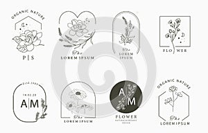 Beauty occult logo collection with geometric,magnolia,lavender,moon,star,flower.Vector illustration for icon,logo,sticker,