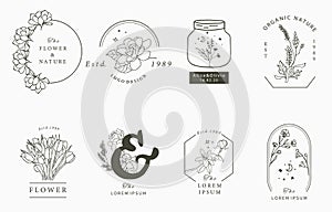 Beauty occult logo collection with geometric,magnolia,lavender,moon,star,flower.Vector illustration for icon,logo,sticker,