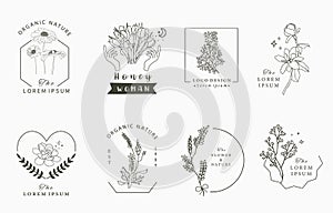 Beauty occult logo collection with geometric,tulip,lavender,magnolia.Vector illustration for icon,logo,sticker,printable and