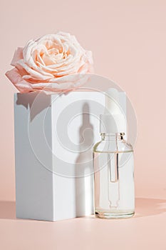 Beauty oil in white cosmetic dropper bottle on white podiums on pink background with rose blooming flower. Skin care set