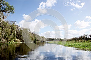 Beauty and Peace at the St. Johns river in Central Florida