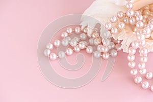 Beauty pearl beads at shell on pastel pink background