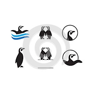 beauty penguin ice bird icon set logo design vector