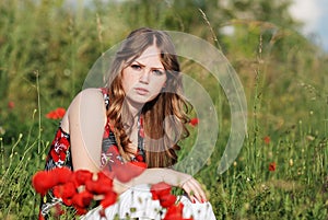 A beauty in a poppy field 4