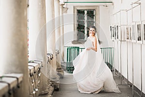 Beauty portrait of bride wearing fashion wedding dress with feathers with luxury delight make-up and hairstyle