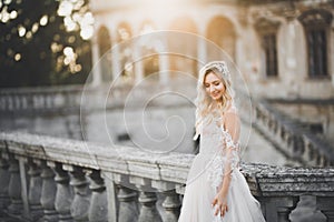 Beauty portrait of bride wearing fashion wedding dress with feathers with luxury delight make-up and hairstyle