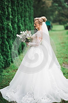 Beauty portrait of bride wearing fashion wedding dress with feathers with luxury delight make-up and hairstyle