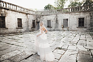 Beauty portrait of bride wearing fashion wedding dress with feathers with luxury delight make-up and hairstyle