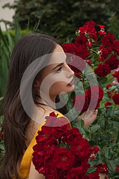 Beauty portrait in a rose garden
