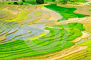 Beauty of rice terraces of the ethnic people at planting season