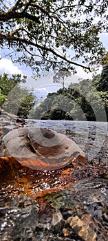 The beauty of the river and its clear water TANGKAHAN, INDONESIA