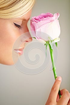 Beauty and the rose. Profile of a young woman holding a pink rose against her nose.