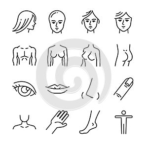 Beauty salon body parts line icon set. Included the icons as face, hair, eye, breasts, hand, hips, and more.