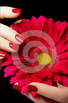 Beauty salon. Delicate hands with manicure holding pink flower