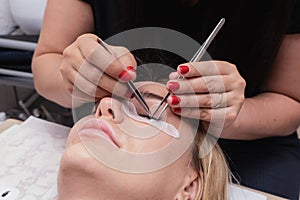 Beauty saloon. close-up, procedure for eyelash extension. The master glues each cilium with special glue, works by means photo