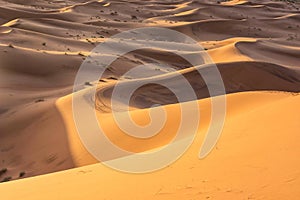 The beauty of the sand dunes in the Sahara Desert in Morocco