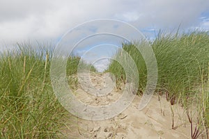 The beauty of sandunes photo