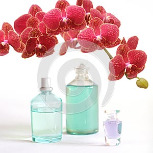 Beauty set with red orchid