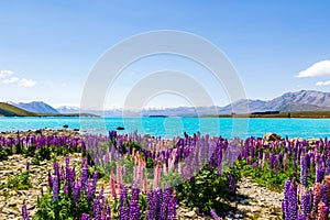 The beauty of the South Island. View of the Tekapo lakes. Southern Alps, New Zealand