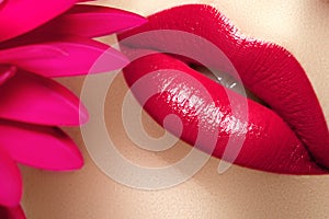 Beauty and spa salon. Close-up of a beautiful sexy red lips.