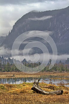 Beauty of Squamish Estuary and Spit in British Columbia