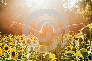 Beauty sunlit woman on yellow sunflower field Freedom and happiness concept