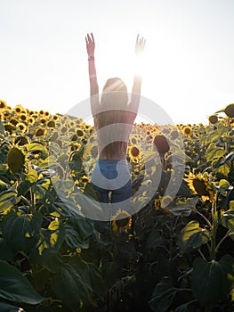 Beauty sunlit young woman on yellow sunflower field Freedom and happiness concept. Happy girl outdoors