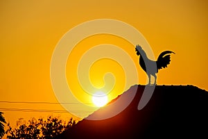 à¸ºBeauty sunrise silhouette rooster crowing on roof home on sky gold yellow orange background
