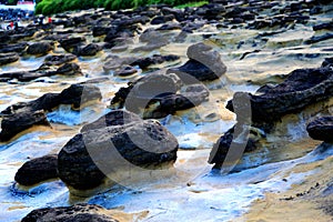 The beauty of Taiwan`s north coast is an eroded coast with large undulations