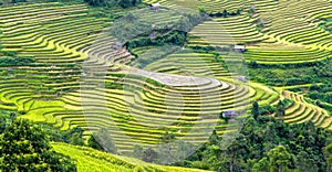 Beauty of terracing Northwest Vietnam photo