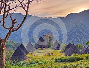 the beauty of the traditional village of Wae Rebo, Flores, Indonesia. photo