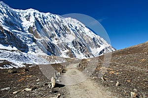 A beauty trail to the lake Tilicho in Nepal photo