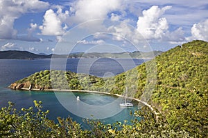 Beauty in the tropics