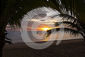 Beauty twilight with golden sun light sunset in ocean sea behind island. silhouette palm and coconut tree on sand beach romantic