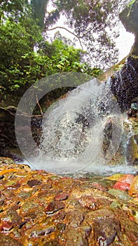 The beauty of a waterfall at the equator