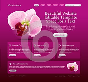 Beauty website template