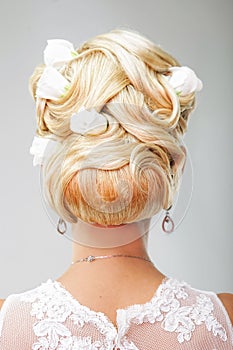 Beauty wedding hairstyle. Bride