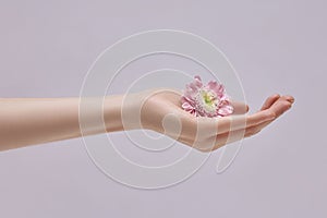 Beauty woman with pink flowers in her hand. Natural cosmetic for hand skin care. Hand hydration and anti-wrinkle and anti-aging