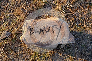 Beauty Written on Rock in Kisatchie National Forest