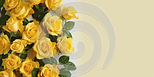 Beauty yellow rose flower, garden decoration, copy space blurred background