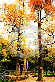 The beauty of Yuelu mountain in Changsha city