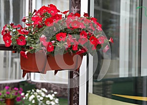 Beautyful flowers decorated terrace of a house