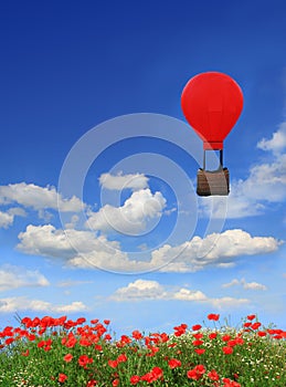 Beautyful red poppy field and blue sky, floating hot-air balloon