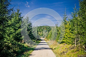 Beautyful walk road in Blackforest