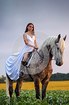 Beautyful woman with horse on nature photo