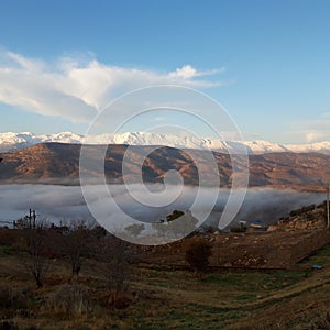 Beautyiful Landscape Blut-Boland Mountain Forest Khuzestan Iran