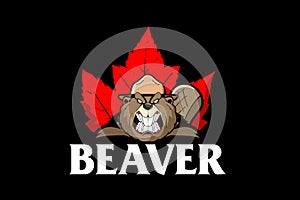 Beaver Animal Cartoon character with maple leaf template