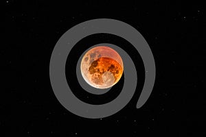 Beaver Blood Moon Eclipse in the Night Sky