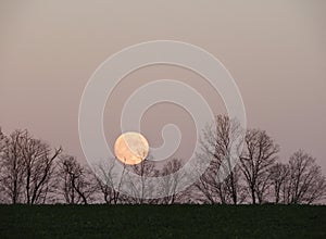 Beaver Blood Moon in November before Lunar Eclipse