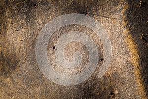 Beaver board texture